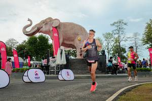 BIB: 
                            <button type="button" onclick="openModal(26529031)" class="btn btn-primary btn-sm float-right btn-popup" data-toggle="modal" data-target=".modal-high-quality">
                        <i class="fas fa-shopping-cart"></i> Add to Cart
                    </button>
                                            <button type="button" onclick="isThisMe(26529031, true)" class="btn btn-success btn-sm float-right btn-popup btn-isme hidden" data-toggle="tooltip" data-placement="bottom" title="นี่คือรูปของคุณใช่ไหม คลิกที่นี่เพื่อเอาเข้าอัลบั้ม">
                        <i class="fas fa-plus"></i> Add to album
                    </button>
                    <button type="button" onclick="isThisMe(26529031, false)" class="btn btn-warning btn-sm float-right btn-popup btn-isnotme hidden">
                        <i class="fas fa-ban"></i> Remove from album
                    </button>